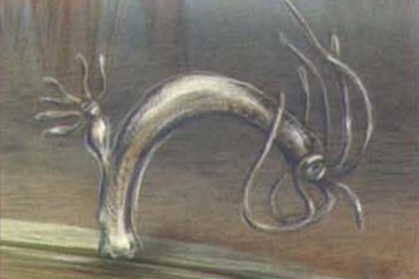 Кракен сайт 2krnk