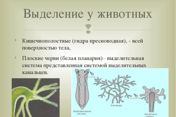 Кракен онион ссылка на тор