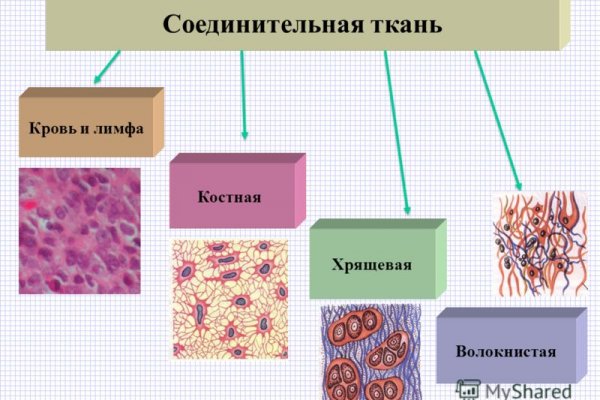 Ссылка на кракен через тор