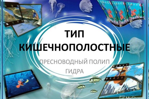 Настоящий сайт kraken