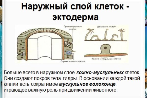 Как пополнить баланс кракен