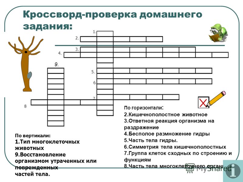 Кракен актуальная